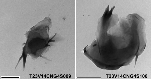 FIG. 6 Examples of particles were categorized as CNT/FUL but without the expected features (such as a hollow core) of FULs or CNT. Scale bars are 500 nm.