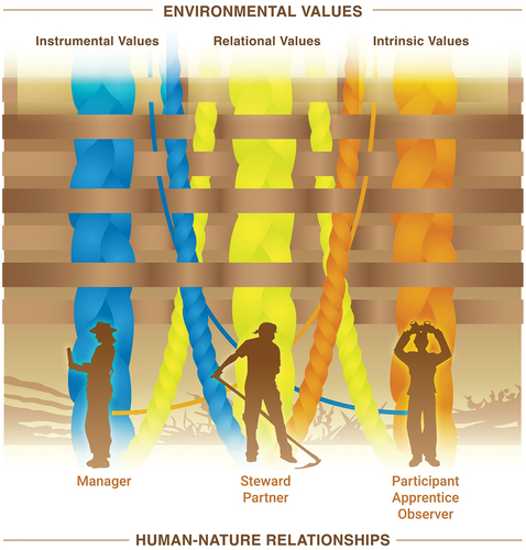 Figure 3. The co-constitution of environmental values and human-nature relationships. The top row indicates the three categories of environmental values represented by woven strands (instrumental in blue, relational in yellow, intrinsic in orange). Each value type is connected to each human-nature relationship (illustrated in the bottom row) in different strengths, indicated by the thickness and number of strands of the connections. Three thick braided strands represent the strongest connection between values and relationships; two woven strands show an important but less connected relationship and a single thin strand a lesser connection. All the categories of environmental values and human-nature relationships are woven together into a single tapestry, highlighting their interconnection.
