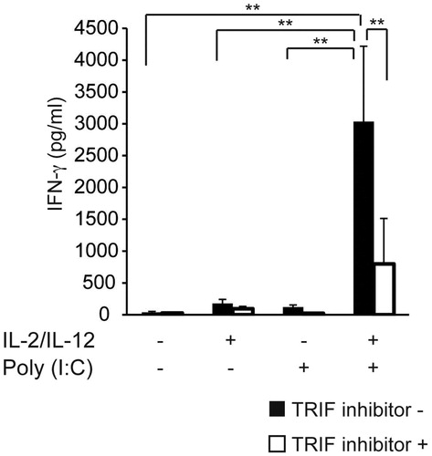 Figure 3. Synergistic upregulation of IFN-γ production by IL-2/IL-12 and poly(I:C) is mediated through the TLR3/TRIF pathway. KHYG-1 cells were seeded into 24-well plates (5 × 105 cells/well) and incubated with 12.5 μg/mL poly(I:C) and 50 μM of the TRIF inhibitor peptide for 24 h under presence or absence of IL-2 and IL-12. The IFN-γ levels in the culture supernatants were measured by ELISA. Treatment with IL-2 and IL-12 sensitizes KHYG-1 cells to poly(I:C) stimulation, resulting in TLR3-mediated IFN-γ production. This effect was completely reversed by the inclusion of TRIF inhibitor peptides. Data represent three independent experiments. Error bars represent SEM.
