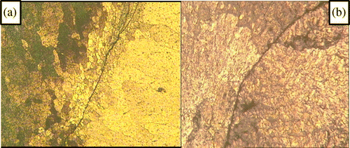 Figure 13 Microstructure of FWTPET+TIG welding: (a) microstructure of FWTPET welding and (b) microstructure of TIG welding.