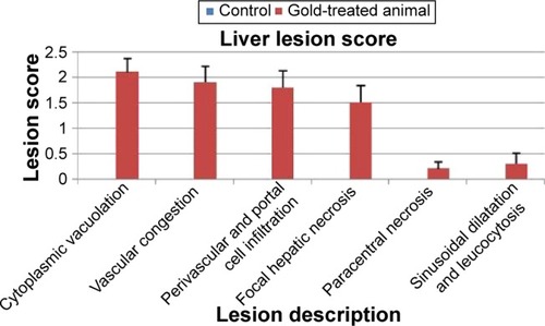 Figure 4 Scoring of hepatic histopathological lesions after I/P injection of 18 nm GNPs in Syrian golden hamsters for 14 consecutive days.Abbreviations: GNPs, gold nanoparticles; I/P, intraperitoneal.