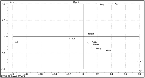 Figure 2. The connection of the off-odor quality attributes of meat based on the principal component analysis (PCA) biplot.Notes: AA [Alabio ♂ × Alabio ♀], CC[Cihateup ♂ × Cihateup ♀], and the crossbreeding of AC [Alabio ♂ × Cihateup ♀], CA [Cihateup ♂ × Alabio ♀].Figura 2. La conexión de los atributos cualitativos de ranciedad de la carne basada en el análisis de los componentes principales (PCA) de diagrama de dispersión biespacial.AA [Alabio ♂ × Alabio ♀], CC[Cihateup ♂ × Cihateup ♀] y el cruce de AC [Alabio ♂ × Cihateup ♀], CA [Cihateup ♂ × Alabio ♀].