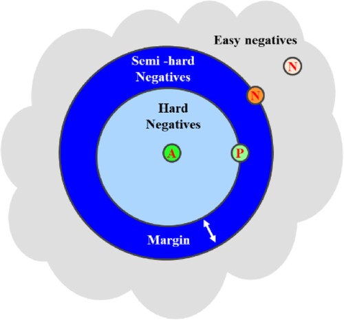 Figure 1. Contrastive learning using Triplet loss.