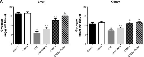 Figure 6 (A) Effect of SeNPs and insulin on carbohydrate metabolism enzyme activities in the liver and kidney of control and experimental groups. (B) Effect of SeNPs and insulin on glycogen contents in the liver and kidney of control and experimental groups.Notes: Values are mean ± standard error of the mean (n=7). aP<0.05, significant change with respect to control group; bP<0.05, significant change with respect to diabetic group.Abbreviations: Ins, insulin; SeNPs, selenium nanoparticles; STZ, streptozotocin.