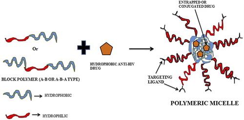 Figure 8. Targeting of anti-HIV drug by polymeric micelle.