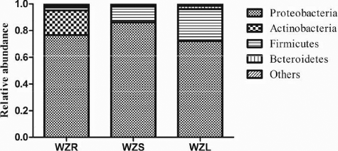 Figure 2. Comparison of phylum level distributions for three tissue types based on the metagenome method.