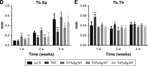 Figure 10 The (A) BV/TV, (B) BS/BV, (C) Tb.N, (D) Tb.Sp, and (E) Tb.Th in the rat femoral condylar insertion model after samples were implanted for 1, 2, and 4 weeks.Notes: All values are reported as mean ± SD (n=3). *P<0.05 and **P<0.01.Abbreviations: BS/BV, bone surface per bone volume; BV/TV, bone volume per total volume; cp-Ti, commercially pure Ti; NT, nanotubes; Tb.N, mean trabecular number; Tb.Sp, mean trabecular separation; Tb.Th, mean trabecular thickness; TNT, titanium nanotubes; w, weeks.