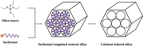 Figure 2. MCM-41 type MSNs were synthesized via self-assembly of silica and surfactant species. The cationic surfactants could self-assemble with negative-charged silica precursors to form ordered hexagonal mesoporous nanostructures. Surfactants can be removed via calcination.