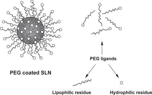 Figure 3 Schematic representation of SLN coated with PEG and molecular residues of PEG.