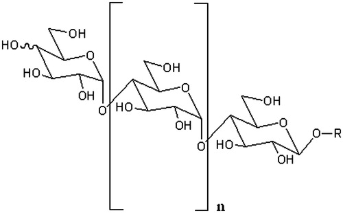 Figure 1. Structure of substrates (n ≥ 1). R represents H in free maltooligomers or 2-chloro-4-nitrophenyl group in chromophore-containing substrates. The orientation of the hydroxyl group on the fourth carbon of the first pyranose ring is equatorial in GalG2CNP and axial in the maltooligomers.