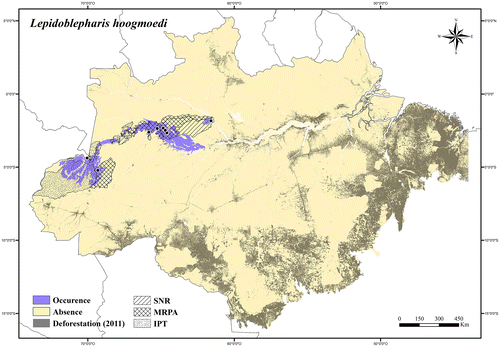 Figure 96. Occurrence area and records of Lepidoblepharis hoogmoedi in the Brazilian Amazonia, showing the overlap with protected and deforested areas.