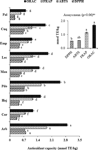 FIGURE 1 Hydrophilic antioxidant capacity of virgin olive oil determined by the DPPH, ABTS, FRAP, and ORAC assays. Different letters (a–g) for methods DPPH, ABTS, FRAP and (a–h) for ORAC in all cases statistical difference at p < 0.05. ns: Not significant.