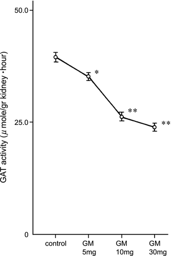 Figure 5. Renal glycine amidinotransferase activity in gentamicin‐treated rats. GAT: glycine amidinotransferase, GM: gentamicin. * p < 0.05, ** p < 0.01.
