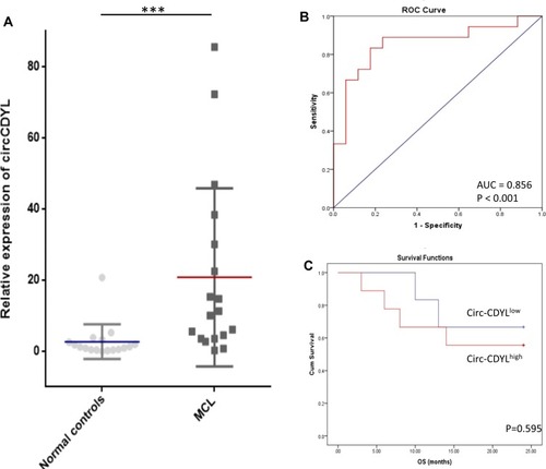 Figure 1 Circ-CDYL was upregulated in MCL patients. (A) qRT-PCR analysis showed that Circ-CDYL was upregulated in MCL patients (n = 18) compared with normal controls (n = 17). (B) ROC curve showed that Circ-CDYL expression could serve as a diagnostic biomarker in MCL. (C) Kaplan–Meier OS curves for MCL patients stratified according to circ-CDYL expression. ***p < 0.001.