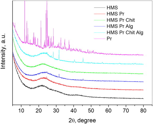 Figure 4. XRD patterns of coated and non-coated pramipexole-loaded HMS nanoparticles.