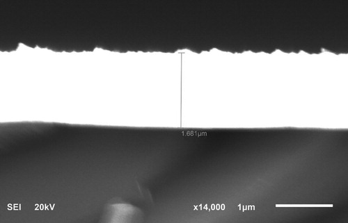 Figure 3. Cross-section of monocrystalline silicon substrate coated with copper.