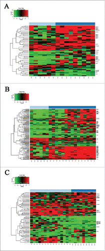 Figure 1. Differentially methylated regions in WNT pathway gene promoters. Methylation probabilities (β-values) of 100 bp long analyzed regions were calculated with respect to genome wide CpG density dependent Poisson distributions, and are represented on a 0–1 scale. Promoter DMRs are shown A. in colorectal cancer (CRC) vs. normal adjacent tissue (NAT) comparison B. in adenoma (AD) vs. NAT comparison and C. between CRC vs. AD samples. Methylation intensities are illustrated on a color scale: high methylation levels are marked with red, low methylation levels are represented by green. Gene symbols mentioned in the text are listed on the heat maps, the whole gene lists with genomic positions, P- and β-values of DMRs can be seen in Supplementary Table 2.