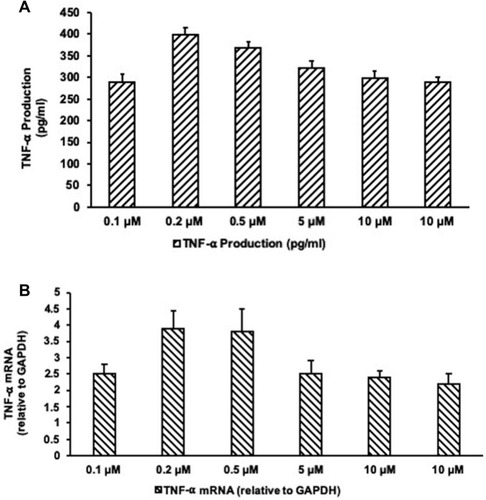 Figure 5 Gene expression and production of TNF-α. (A) Effect of AgNPs-EC on the gene expression of TNF-α. (B) Effect of AgNPs-EC on the output of TNF-α in MCF-7 cells.