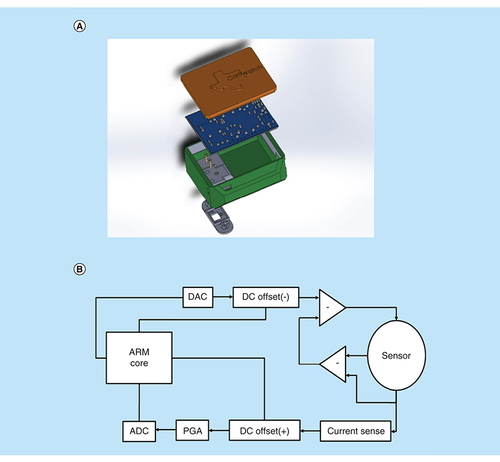 Figure 2. CortiWatch Device render and block diagram.(A) Device rendering displaying different components inside the CortiWatch. (B) Block diagram of the circuit used in CortiWatch.ADC: Analog to digital converter; ARM: Advanced RISC Machine; DAC: Digital to analog converter; DC: Direct current; PGA: Programmable gain amplifier; RISC: Reduced instruction set computing.