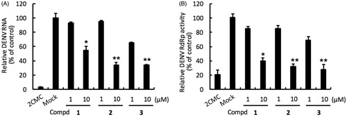 Figure 2. Inhibition of DENV RNA replication and RdRp activity by compounds 1–3. Panel A. Huh-7 cells were infected with DENV-2 at a multiplicity of infection (M.O.I) of 0.2 and followed by treatment with the DENV polymerase inhibitor for 3 days. The DENV RNA level was analysed by RT-qPCR with specific primer targeting viral NS5 gene, and relative viral RNA levels were normalised against cellular GADPH mRNA levels. Treatment of 50 μM 2′-C-methylcytidine (2CMC) direct against DENV RdRp served as positive control. 0.1% DMSO (Mock) served as negative control. Panel B. Huh-7 cells were transfected with pEG(MITA)SEAP and pcDNA-NS2B-GSG-NS3-Myc followed by incubation with each compound. The luciferase activity was analysed after 3 days treatment. Error bars denote the means ± SD of three independent experiments. *p < .05; **p < .01.