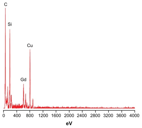 Figure 2 Energy dispersive spectroscopy of silica nanoparticles co-encapsulating gadolinium oxide and horseradish peroxidase indicating the presence of silica and gadolinium.