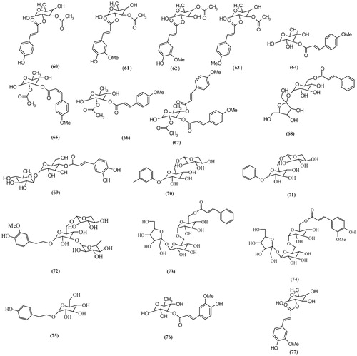 Figure 5. Chemical structures of Scrophularia glycoside esters.