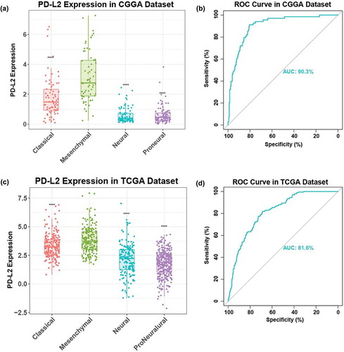 Figure 2. Comparison of PD-L2 expression level in CGGA and TCGA cohorts with different TCGA molecular subtypes (a, c), PD-L2 was significantly increased in mesenchymal subtype (p < 0.0001). ROC curves exhibited highly sensitivity in predicting mesenchymal subtype (b, d). Receiver operating characteristic (ROC) curve for mesenchymal subtype prediction in CGGA and TCGA datasets. ROC curve analysis showed that PD-L2 had highly sensitivity and specificity to predict mesenchymal subtype in CGGA and TCGA database. Area under curve(AUC) was 0.903 and 0.816, respectively.