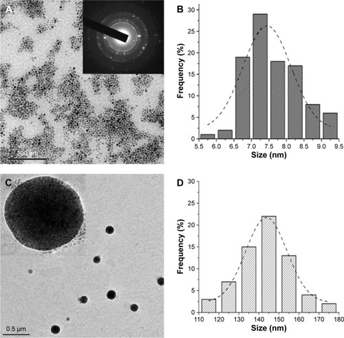 Figure 1 TEM characterization of MnFe2O4 NPs and PEG-b-PCL-MnFe2CO4 NMs.Notes: MnFe2O4 NPs were of spheroidal appearance and narrow size distribution (A) and the average size was 7.6±1.0 nm (B). The diameter of PEG-b-PCL-MnFe2O4 NMs was 146.7±25.9 nm (C and D). Inset of (A) is SAED of MnFe2O4 NPs. Inset of (C) is an enlarged TEM of a single PEG-b-PCL-MnFe2O4 NM; magnification ×200,000.Abbreviations: NMs, nanomicelles; NPs, nanoparticles; PEG-b-PCL, polyethylene glycol-block-poly(ε-caprolactone); SAED, selected area electron diffraction; TEM, transmission electron microscopy.