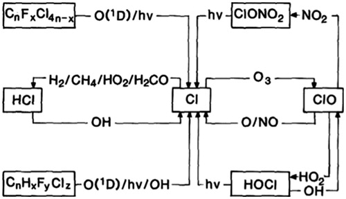 Figure 2. Schematic of odd-chlorine chemistry.