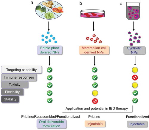 Figure 1. (a) edible plant-derived NPs, (b) mammalian cell-derived NPs, and (c) synthetic polymeric NPs. (NPs: Nanoparticles.).