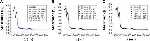 Figure S1 Ultraviolet-visible spectra results confirm that GON solution is very stable in RPMI 1640 medium.Notes: (A) Absorbance of GON with different concentrations after incubating at 37°C for 24 hours. (B, C) Absorbance of GON at concentrations 0.5 µg/mL (B) and 5.0 µg/mL (C) at various incubation time.Abbreviation: GONs, gadolinium oxide nanocrystals.