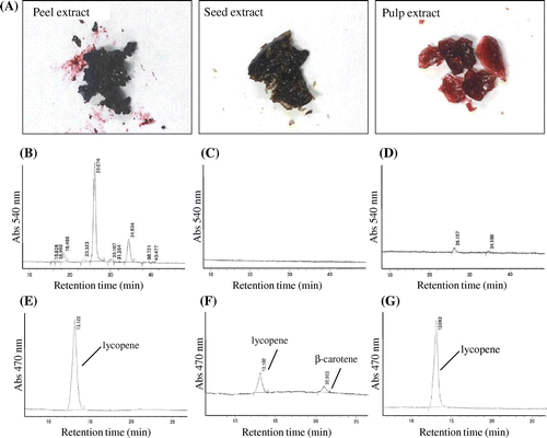 Fig. 2. Results of quantitative analyses for anthocyanins, lycopene, and β-carotene in blue tomato.