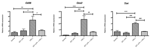 Figure 10. Effect of 2C7 scFv on the relative expression of Cd36, Cox-2 and Tlr- 4 mRNA. Cells were treated with 2C7 scFv (6.25 μg/mL), LDL(-) (37.5 μg/ml) or 2C7 scFv + LDL(-) for three hours. The results of independent experiments, performed in triplicate, are expressed as the means ± SEM *p < 0.05 vs. control; #p < 0.05 compared with treatment with LDL(-); ANOVA followed by the Tukey-Kramer test.