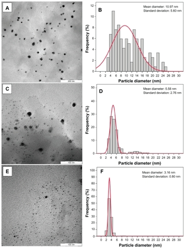 Figure 6 Transmission electron microscopy images and their corresponding particle size distributions of silver/montmorillonite/chitosan bionanocomposites for A2 (A, B), A4 (C, D), and A5 (E, F).