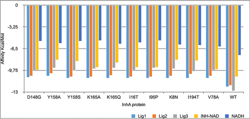 Figure 4 The three best leads with lowest affinity binding to the wild-type protein and the the mutant models.
