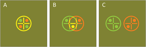 Figure 1. Typical fixation stimuli, adapted for red-green anaglyph display. Actual stimuli were greyscale. A: Zero disparity. B: overlapping targets for the left and right eyes. Participants were instructed that this percept was not considered “double”. C: Separated targets, which are considered “double” if seen. (A movie of a typical break-inducing sequence is available at this link: https://youtu.be/e_-CrM14XwU).