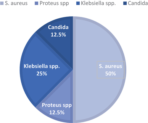 Figure 3. Percentage of distribution of the bacterial isolates from rat’s blood samples.