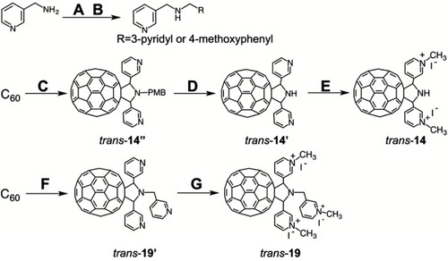 Scheme 4 Synthesis of trans-14, trans-19. (A) 3-pyridinecarboxaldehyde or 4-methoxybenzylaldehyde, methanol, r.t; (B) sodium borohydride, r.t, 86–92% (in two steps); (C) 3-pyridinecarboxaldehyde, 3-(N-4-methoxybenzyl)picolylamine, o-dichlorobenzene, reflux, 6.2%; (D) TFA, chloroform, r.t, quant; (E) methyl iodide, r.t, 62%; (F) 3-pyridinecarboxaldehyde, bis(3-picolylamine), acetic acid, toluene, reflux, 32%; (G)methyl iodide, r.t, 93%.
