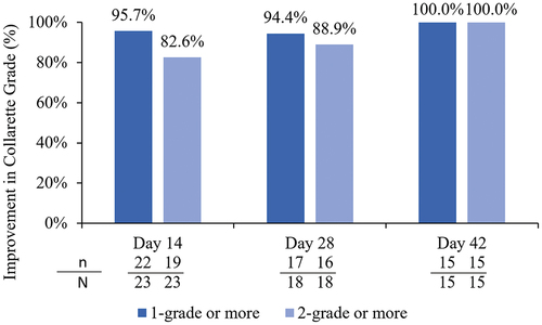Figure 5. Proportion of participants with an improvement in collarettes of 1 grade or better or 2 grades or better in the analysis eye of the study group.