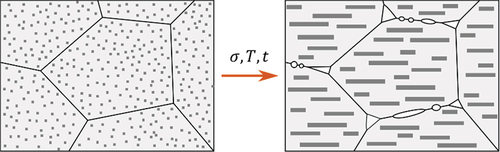 Figure 4. Schematic change of microstructure by pore nucleation, growth and coalescence on grain boundaries, tearing of grain boundary triple points and rafting as a result of creep stress [Citation16].