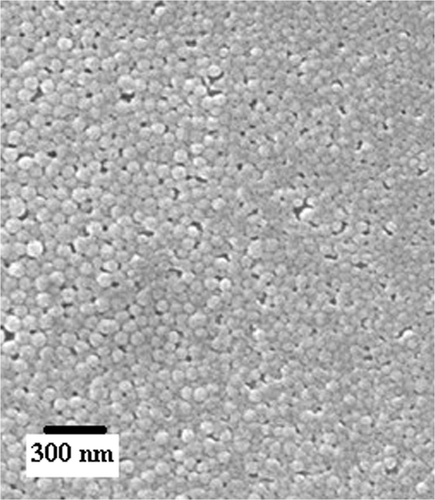 Figure 2. SEM of alginate nanoparticles.