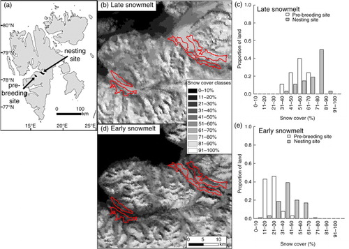 Fig. 2  Snow cover at a pink-footed goose pre-breeding site and adjacent main nesting area in central Svalbard during late May. (a) Svalbard map with locations of the pre-breeding site and nesting area indicated in black, (b) MODIS satellite image of snow cover in central Svalbard when snowmelt was late (2008), and (d) early (2010), (c) proportions of land at the pre-breeding site (white bars) and nesting area (grey bars) covered by snow during spring when snowmelt was late (2008), and (e) early (2010). The pre-breeding site and nesting area are outlined in the satellite images, where visual training points and a standard maximum likelihood classification were used to produce a 10-class standard confusion matrix. This assigned a snow class to each pixel in the image, allowing snow-cover percentages to be estimated.