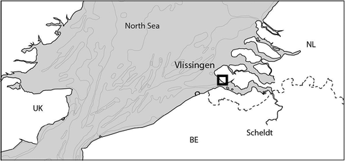 Figure 1. The location of Vlissingen (Netherlands) in the maritime system.