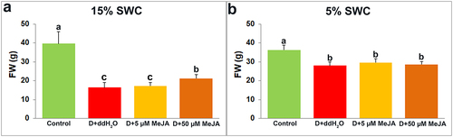Figure 2. The effect of foliar applied MeJA on I. walleriana shoots FW at 15 (A) and 5% (B) SWC. SWC – soil water content; FW – fresh weight. Results are presented as mean ± SE, with significant differences between treatments based on LSD test (p ≤ 0.05).