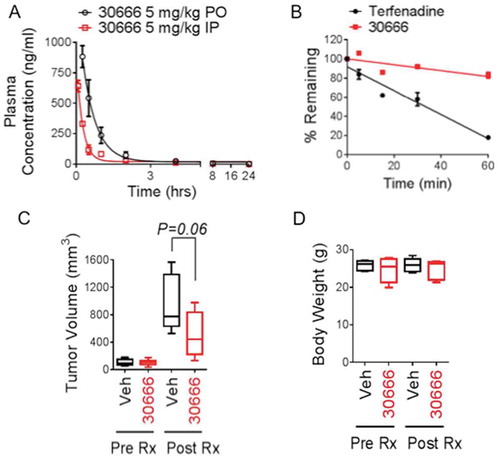 Figure 4. Pharmacokinetics and in vivo anti-MM efficacy of compound 30666.(A) C57BL/6 mice were given a single dose of 5 mg/kg 30666 via oral gavage (PO, black circles) or intraperitoneal (IP, red squares) injection. Blood was drawn at 0.25, 0.5, 1, 2, 4, 8, and 24 hours after dosing, and plasma concentrations of 30666 were quantified by LC-MS/MS. The average (mean ± S.E.) plasma concentration is shown plotted against time for each route of administration (N = 3 mice per time point).(B) The metabolic stability of 30666 was determined by incubating the compound in the presence of human liver microsomes. The disappearance of 30666 or control compound (terfenadine) was measured by LC-MS/MS at 0, 5, 15, 30, and 60-minute intervals.(C) Plasmacytomas were induced in SCID Hairless Outbred mice by subcutaneous injection of RPMI-8226 human MM cells. Once tumors reached a plapable size of 150 mm3, treatments with daily 30666 (5 mg/kg, i.p.) or vehicle (PBS + 5% Cremophor) were initiated. Mice were treated for 14 days. Tumor volume data are shown at the study endpoint (28 days post initiation of drug treatment). A student’s t-test statistical analysis was used (N = 10).(D) Body weight analysis from animals treated in (C) is shown. Animals were weighed prior to treatment with 30666 (Pre-Rx) and on day 15 after 14 days of 30666 treatment (Post-Rx). There was no significant difference in body weight between groups either before or after drug treatment (N = 5).