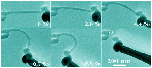 Figure 6. Consecutive TEM images of an individual boron nanowire during different bending stages. Reprinted with permission from Ref. [Citation122]. Copyright 2013 American Chemical Society.