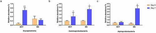 Figure 7. Mean relative percentage of microbiota as the class Erysipelotrichia (a), Gammaproteobacteria (b) and Alphaproteobacteria (c) pre- (day 0) and post- (day 7) FMT. aindicates significantly different than MHT day 0 (p < 0.05); bindicates significantly different than MN day 7 (p < 0.05); cindicates significantly different than MN day 0 (p < 0.05); dindicates significantly different than all other groups (p < 0.001). Each value is the mean ± SEM (n = 3).