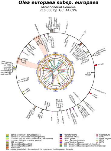 Figure 2. The complete mitogenome of Mehras cultivar. Key showing gene families.