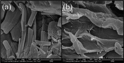 Figure 3. FESEM image of cellulose from (a) outer layer of pomegranate peel (PPC1) and (b) inner layer of pomegranate peel (PPC2).
