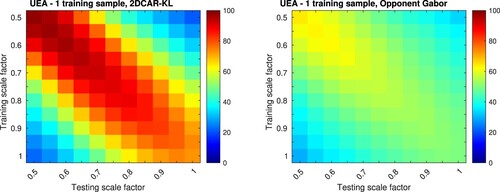 Figure 7. The classification accuracy [%] for all combinations of scales among training and test sets on the UEA dataset, one training sample per class was used.